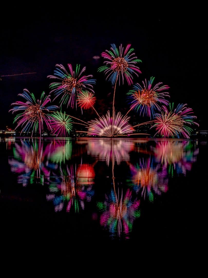 Nikon D300 デジタル一眼レフカメラ 本体 ＋ MC36