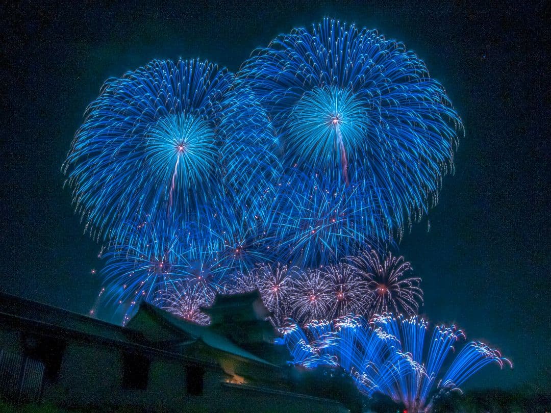 Nikon D300 デジタル一眼レフカメラ 本体 ＋ MC36