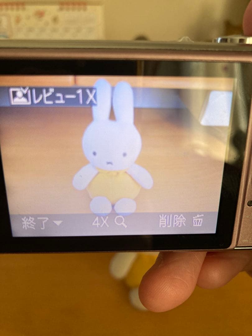 Panasonic DMC-FX01 ピンクパープル　動作確認済