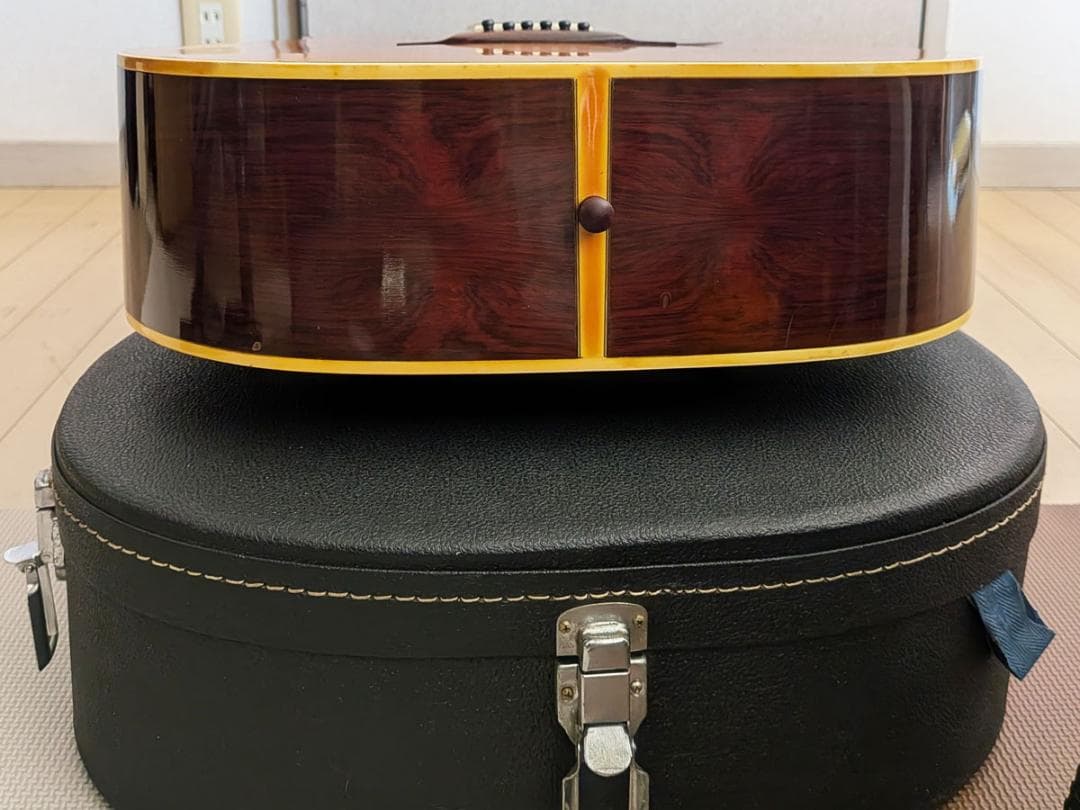 TAKEHARU タケハルギター WT-400 ジャパンヴィンテージ 希少