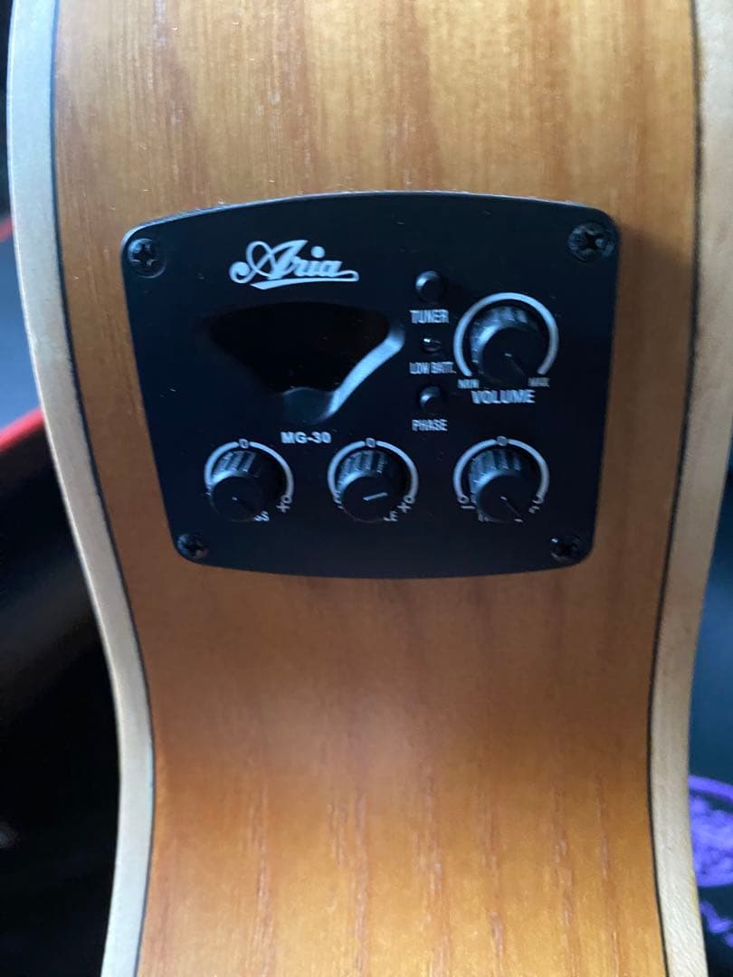中古　アリア　ARIA 12弦　エレアコ
