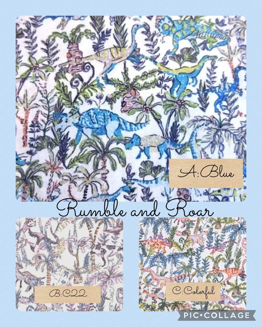 ✰速乾グッズお申込✰リバティ恐竜×綿ポリ　入園入学　男の子　体操服袋　靴袋