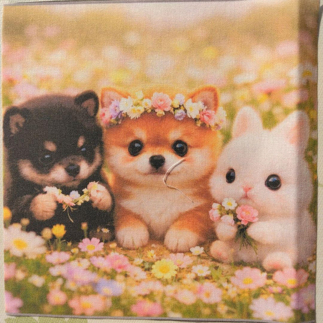 ☆受付☆柴犬 №2