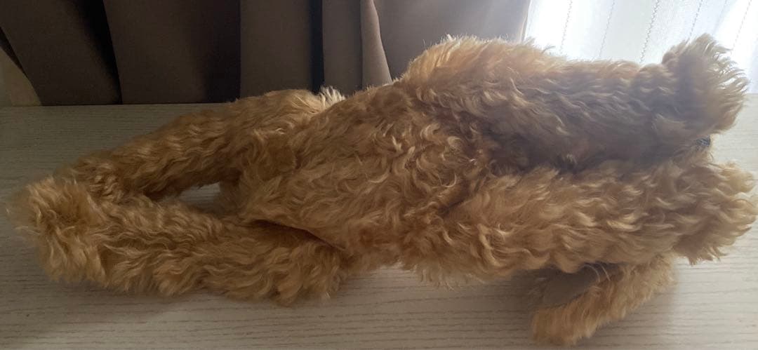 トイプードルのアートドール