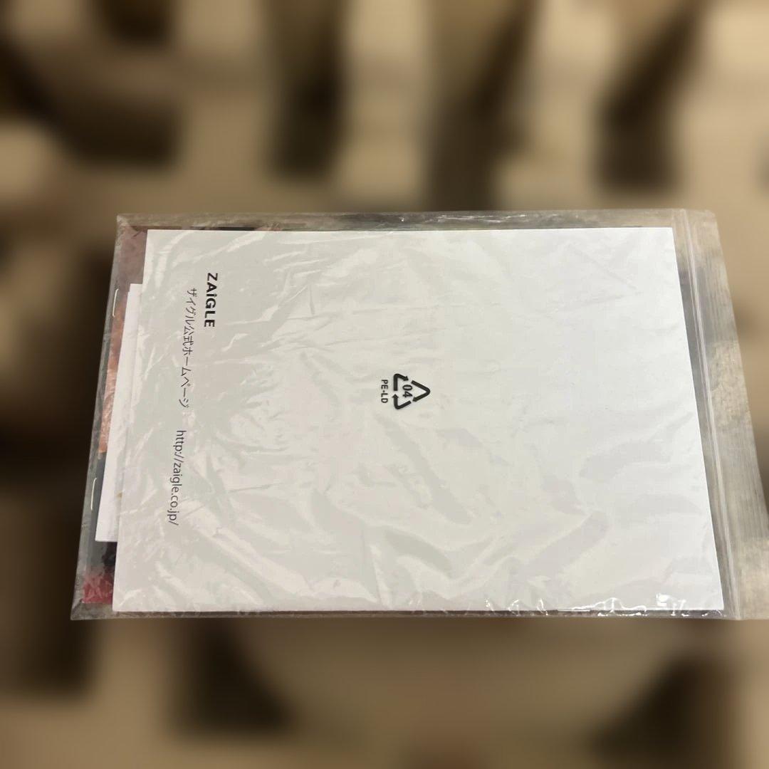 未使用　ZAIGLE 炙輪 NC-400 ゴールド ハーフプレート