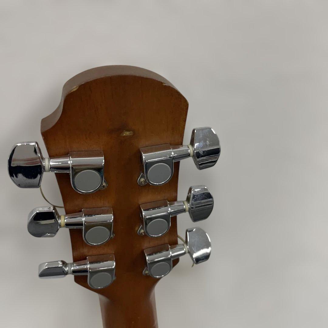 Sepia Crue Custom アコースティックギター