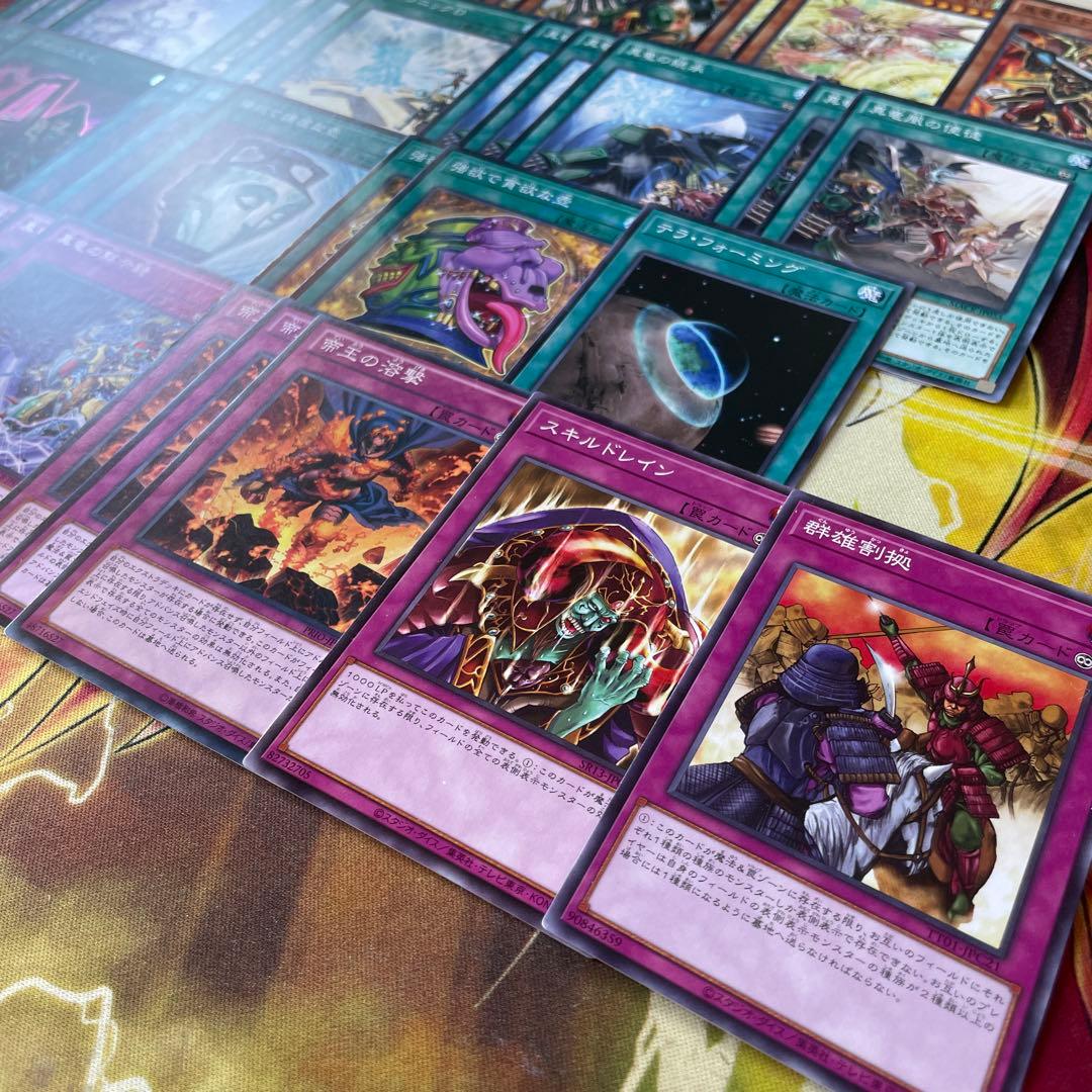 大会構築 命削り真竜デッキ 真竜剣皇マスターP ドラゴニックD 真竜の継承