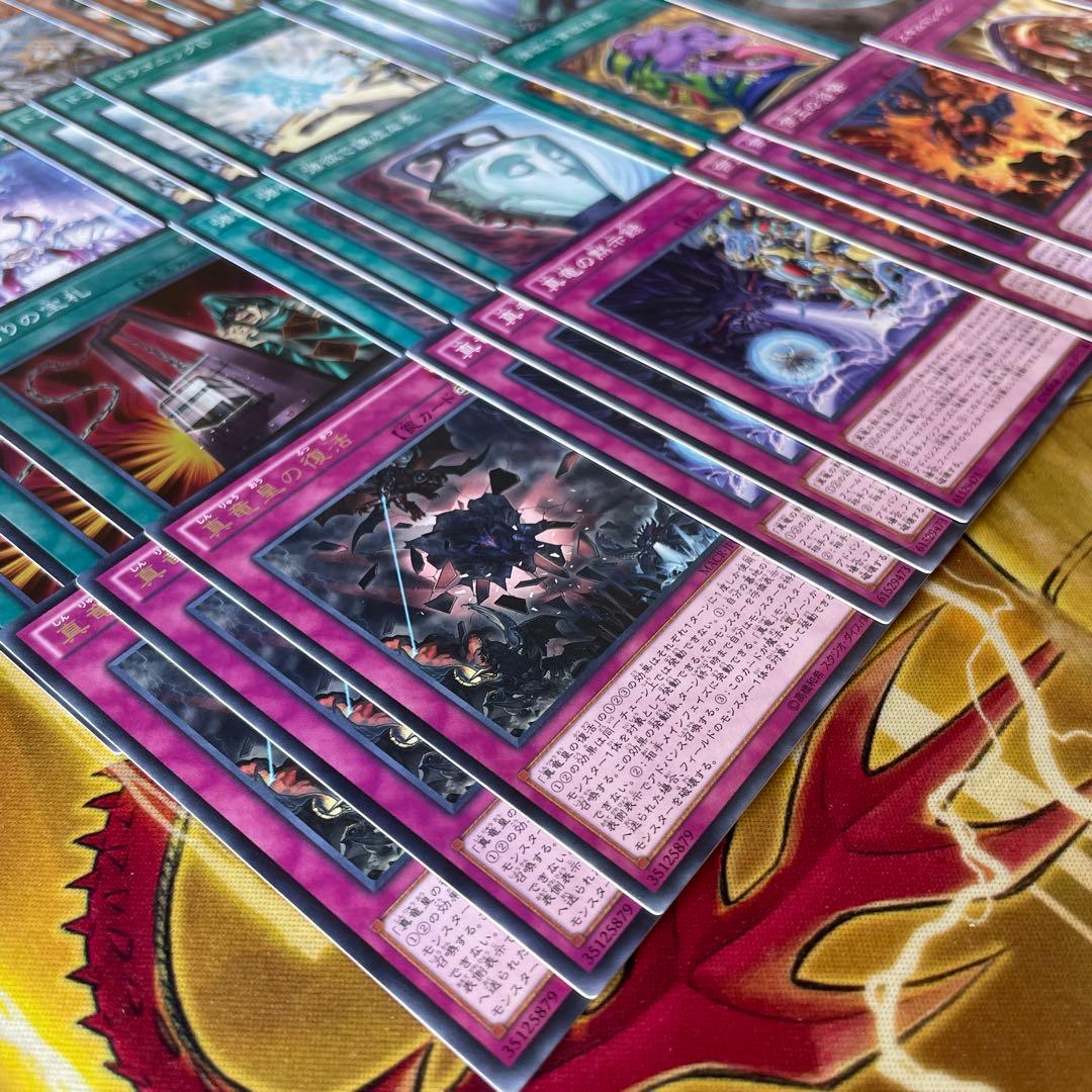 大会構築 命削り真竜デッキ 真竜剣皇マスターP ドラゴニックD 真竜の継承