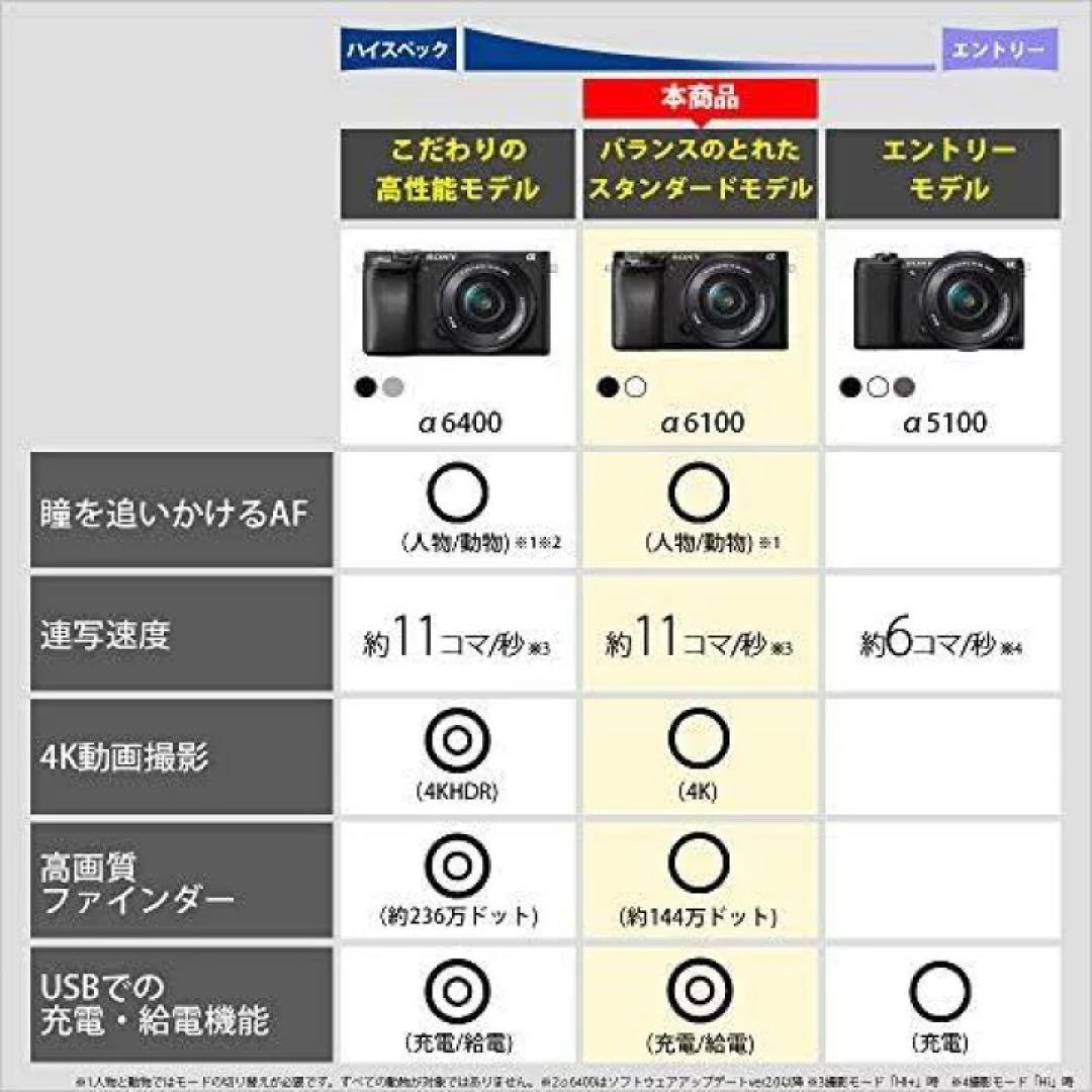 SONY α6100 ミラーレスカメラ