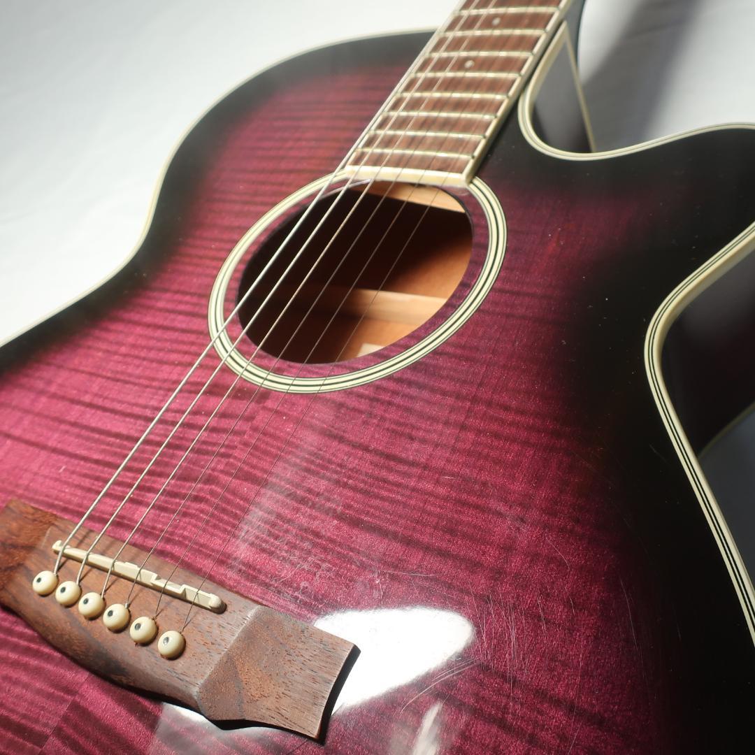 Ibanez AEG450 TP エレアコ ギター ハードケース付 虎杢パープル
