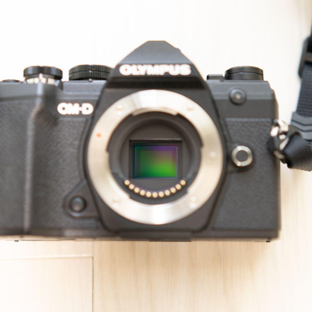 【☆Fuji Sunsetさま専用☆】OLYMPUS E-M5 mark Ⅲ