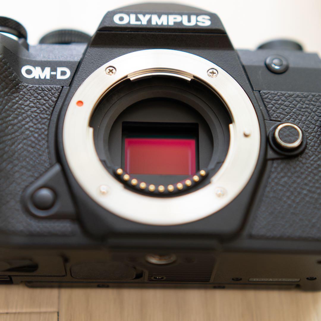 【☆Fuji Sunsetさま専用☆】OLYMPUS E-M5 mark Ⅲ