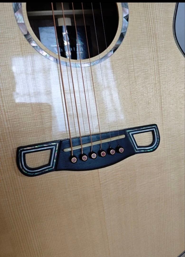 Meridaextrema　AhLatin SKYSONIC T-902付