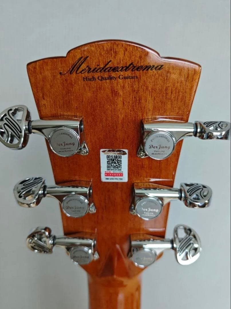 Meridaextrema　AhLatin SKYSONIC T-902付