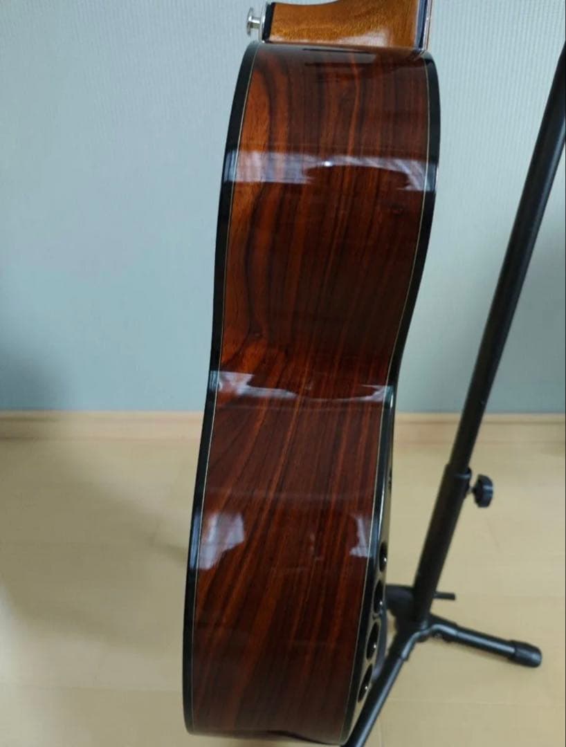 Meridaextrema　AhLatin SKYSONIC T-902付