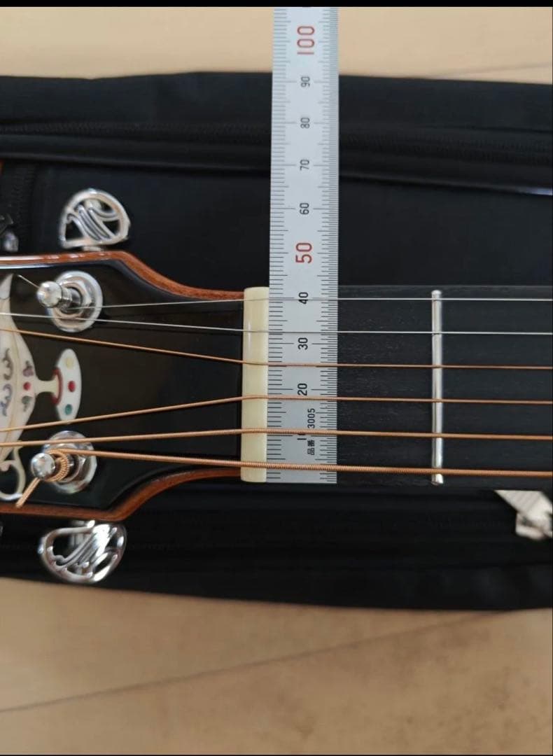 Meridaextrema　AhLatin SKYSONIC T-902付