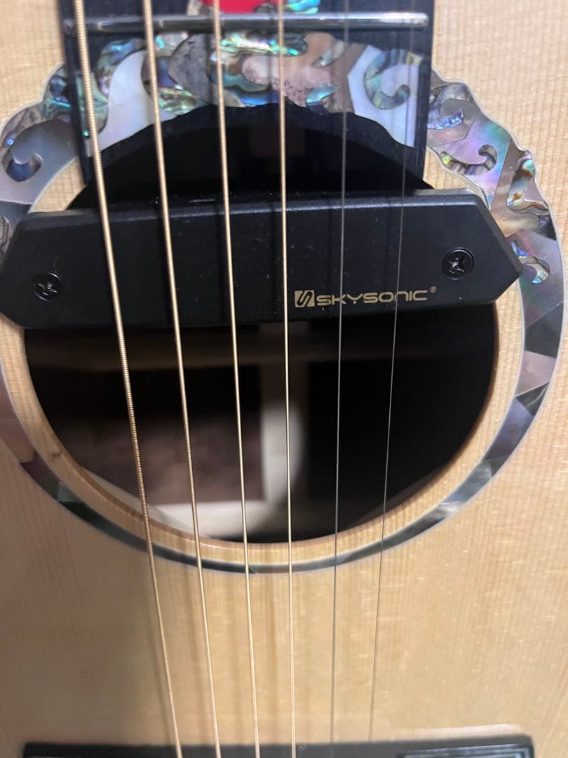 Meridaextrema　AhLatin SKYSONIC T-902付