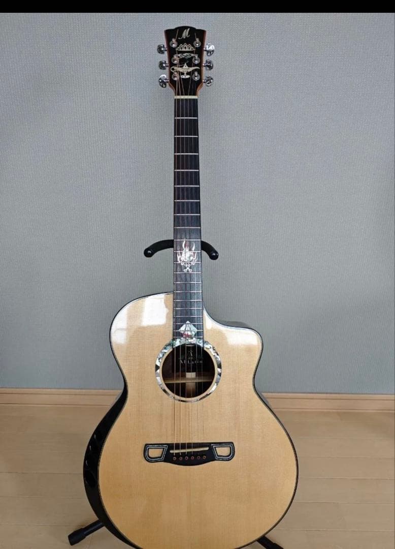 Meridaextrema　AhLatin SKYSONIC T-902付
