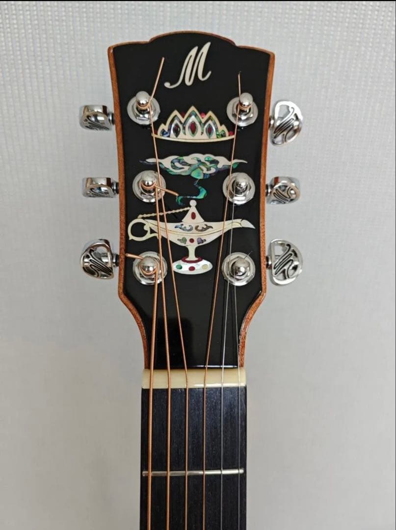 Meridaextrema　AhLatin SKYSONIC T-902付