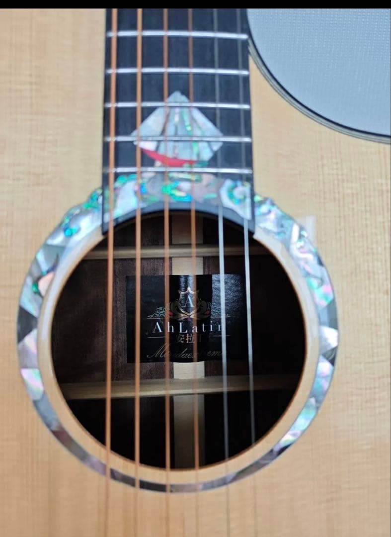 Meridaextrema　AhLatin SKYSONIC T-902付