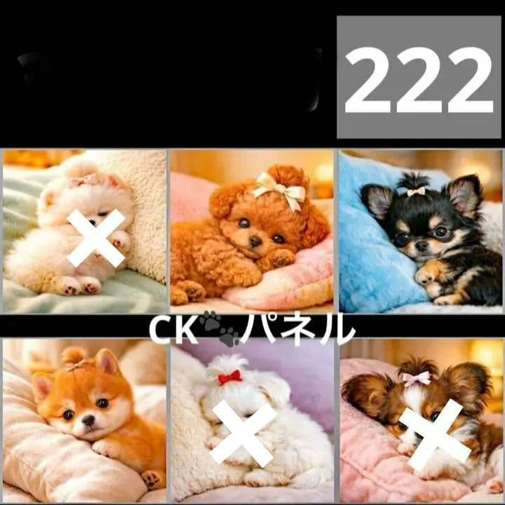 確認用　ＣK様新柄パネル №1