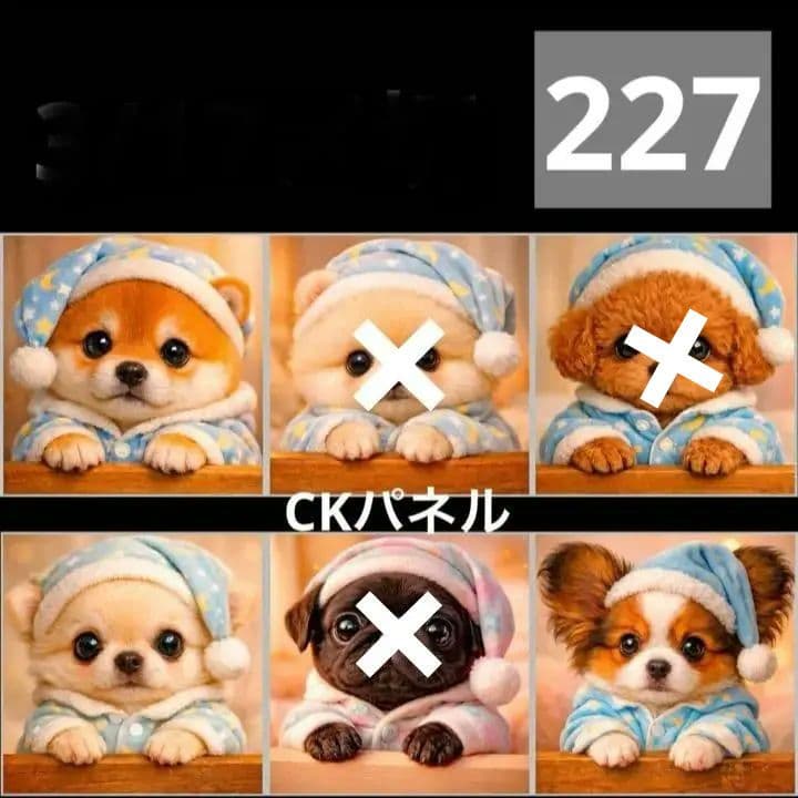 確認用　ＣK様新柄パネル №1