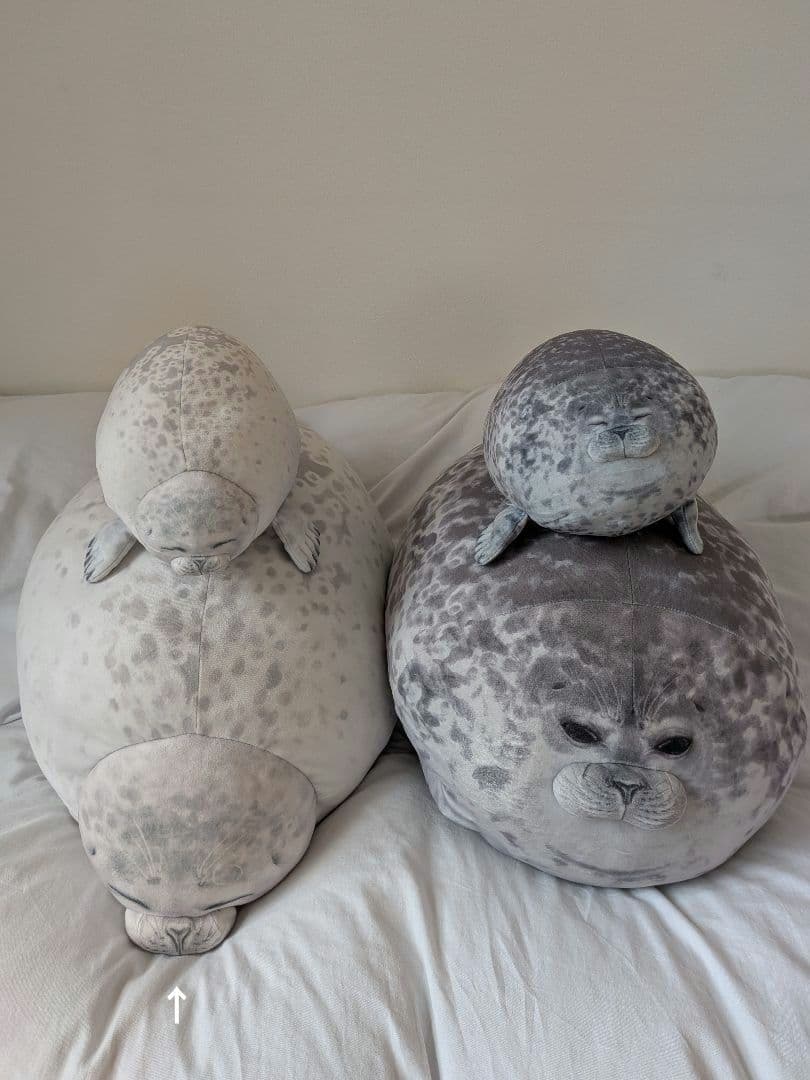 YOU+MORE! のほほんアザラシアラレちゃん もっちりビッグクッション