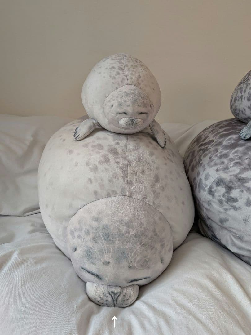 YOU+MORE! のほほんアザラシアラレちゃん もっちりビッグクッション