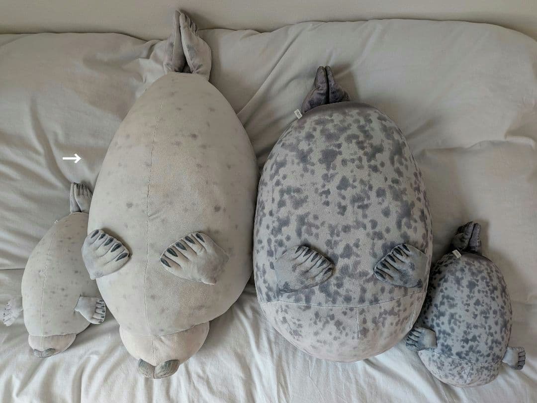 YOU+MORE! のほほんアザラシアラレちゃん もっちりビッグクッション