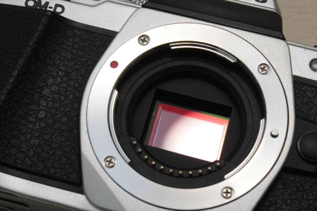 OLYMPUS OM-D E-M10 II ボディ　ジャンク　撮影可能