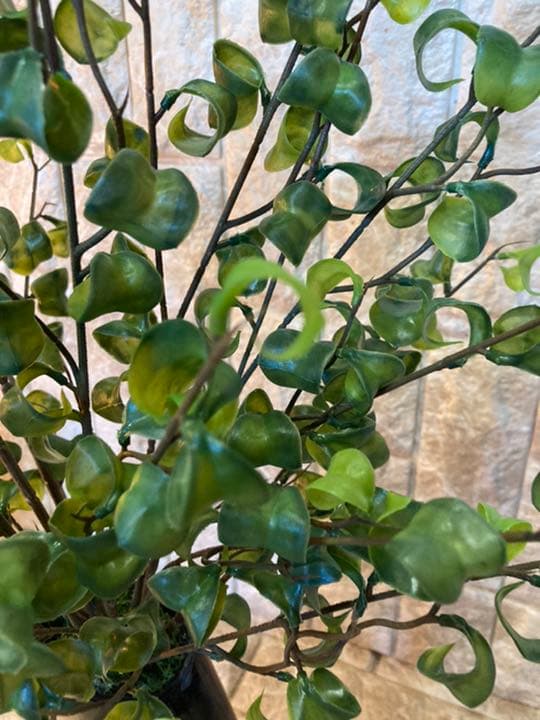 光触媒　人工観葉植物　ウォールグリーン　造花　インテリア　ベンジャミンバロック7