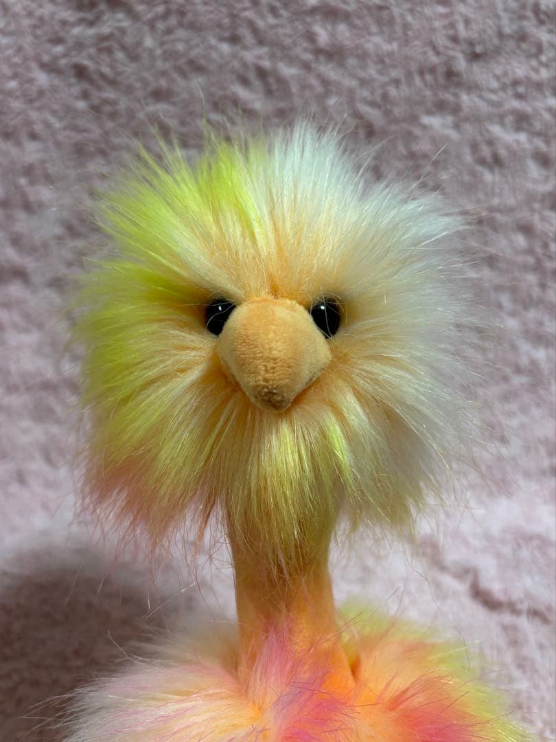 QuoN ジェリーキャット Spiced & Sorbet Pompom