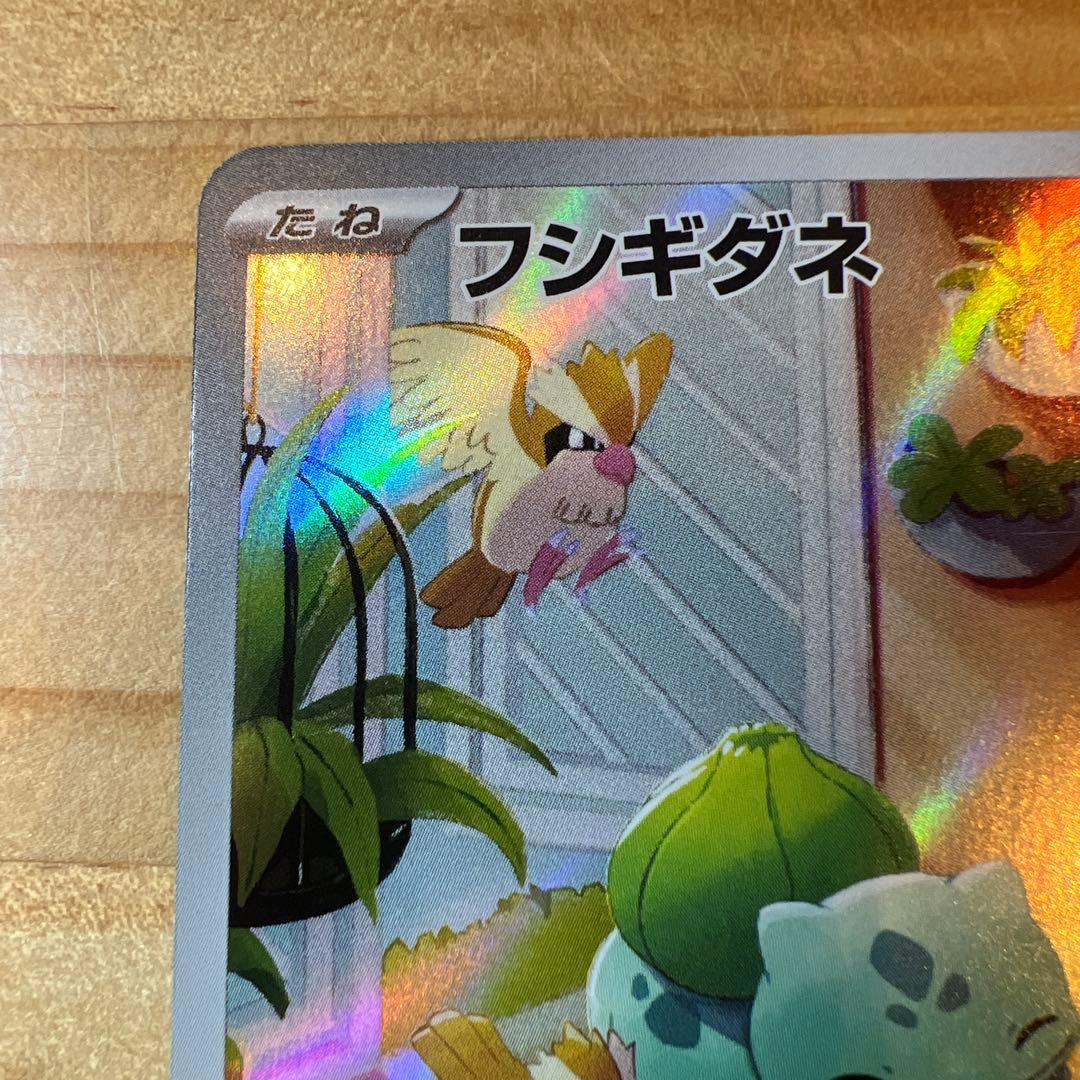 スペシャルデッキセット ゼニガメ ヒトカゲ フシギダネ