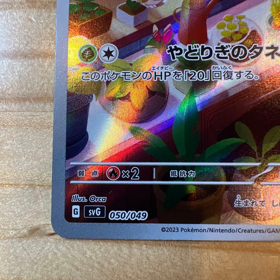 スペシャルデッキセット ゼニガメ ヒトカゲ フシギダネ