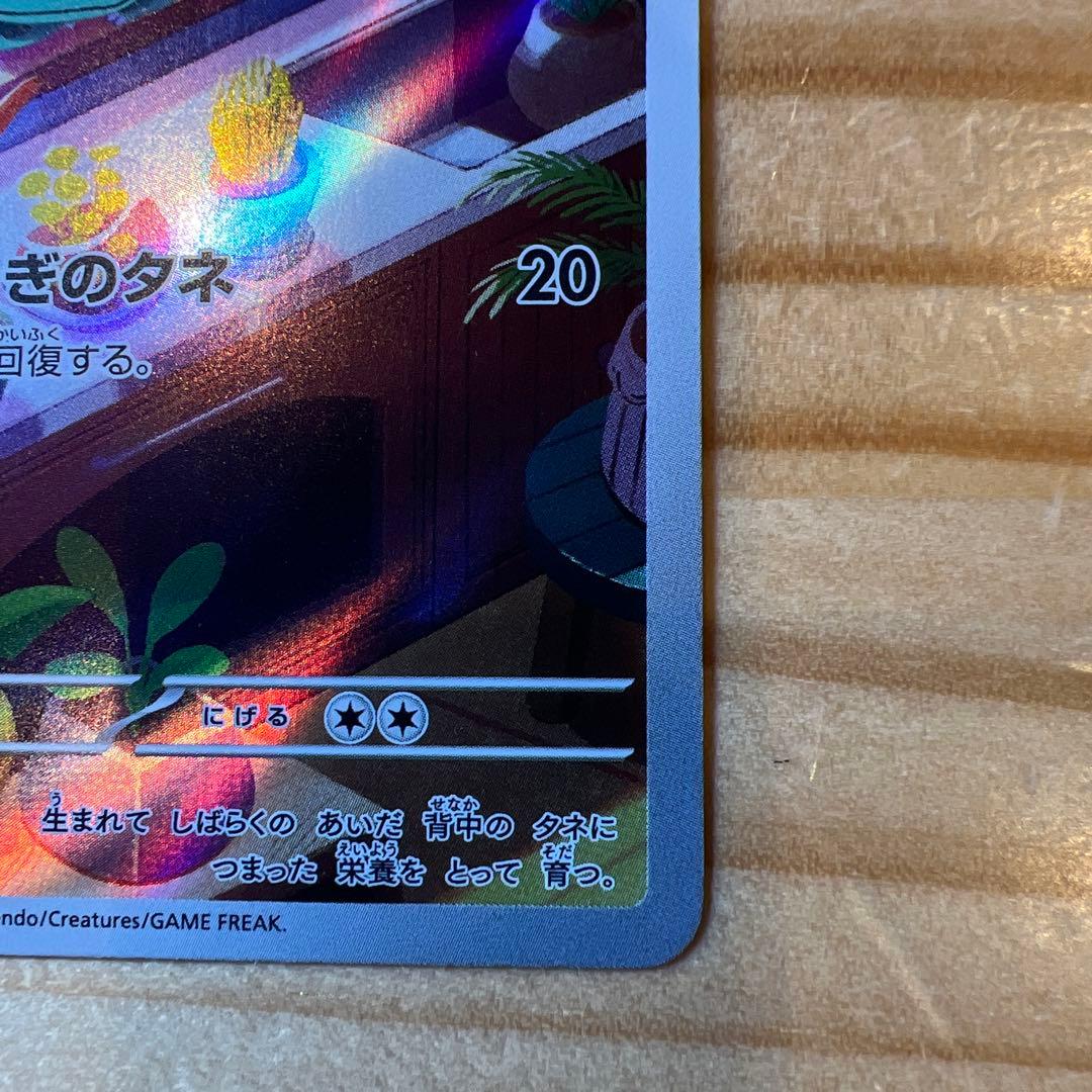 スペシャルデッキセット ゼニガメ ヒトカゲ フシギダネ