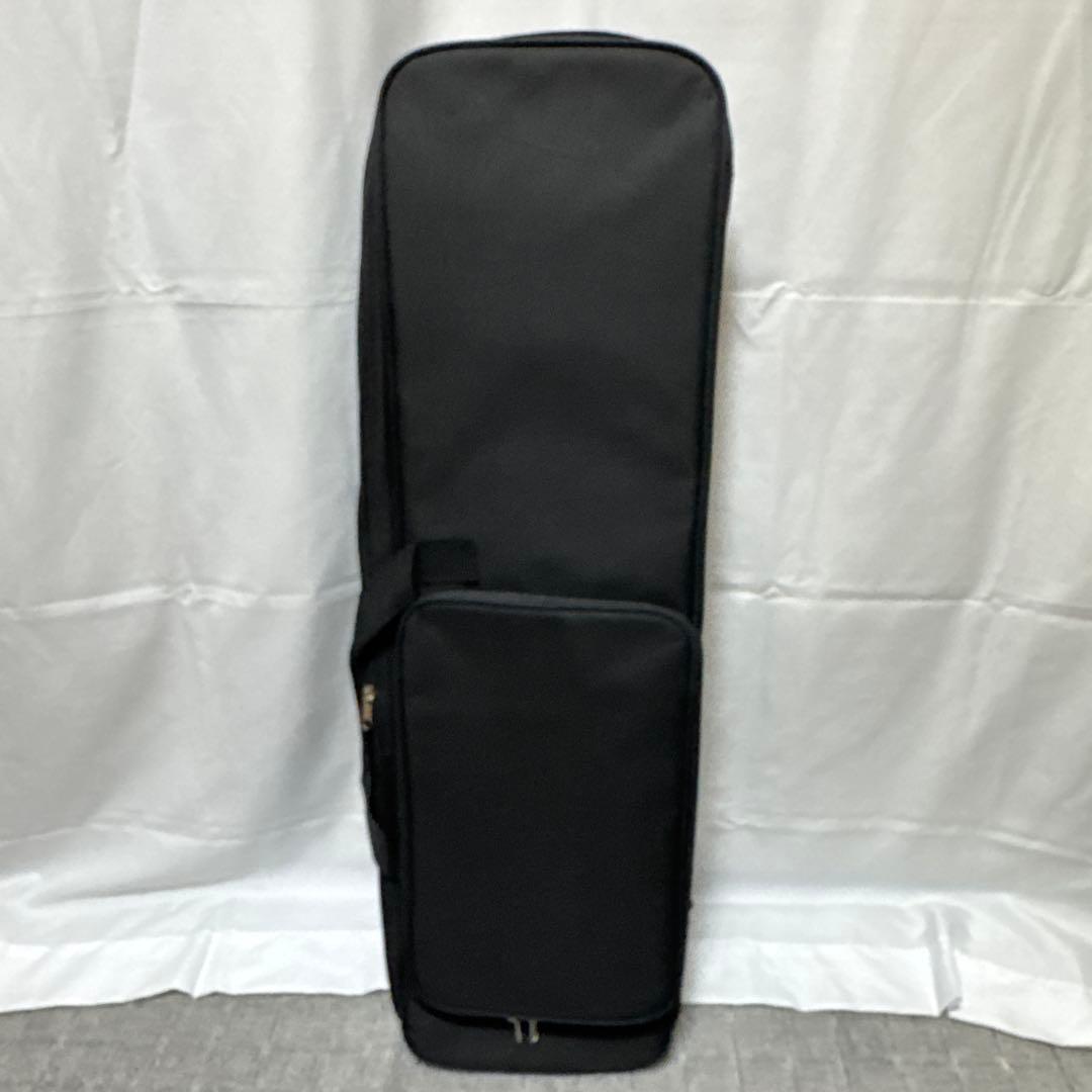 B076 沖縄 三線 蛇三線 人工皮 蛇柄 三味線 和楽器 ケース 付き