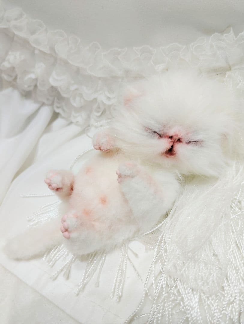 ぶーにゃんちゃん御予約❤子猫ちゃん❤