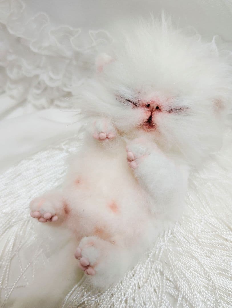 ぶーにゃんちゃん御予約❤子猫ちゃん❤