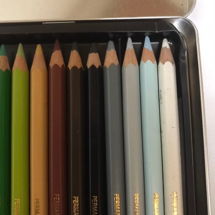 caran d'ache 油性 色鉛筆 30色