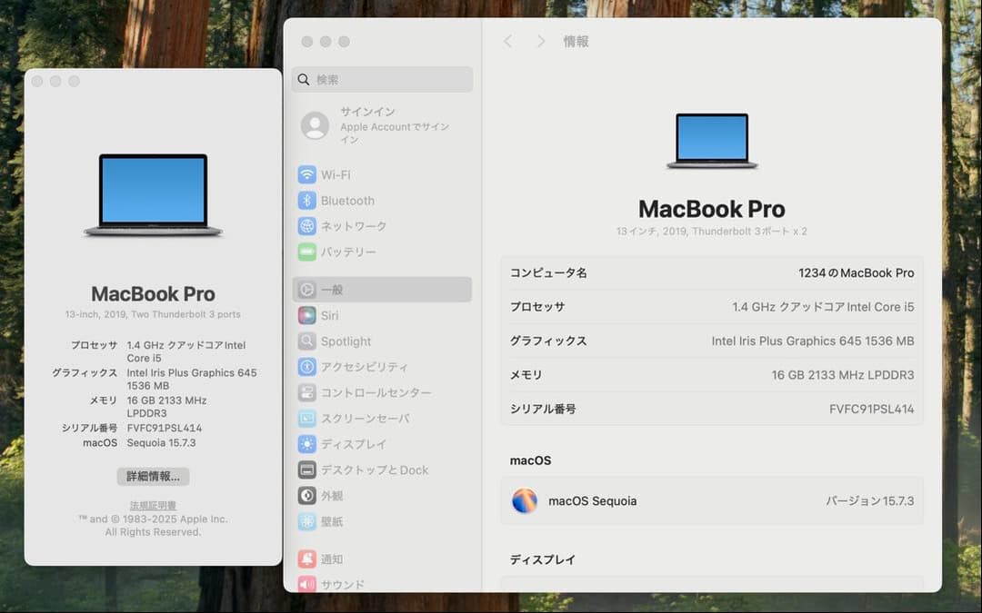 MacBook本体 Apple MacBook Pro 13 2019 i5/16GB/250GB