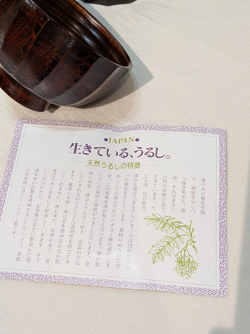 山中漆器　優工房　天然目　自然木　すぐろ目　漆器　手彫り　作家作品5客　うるし
