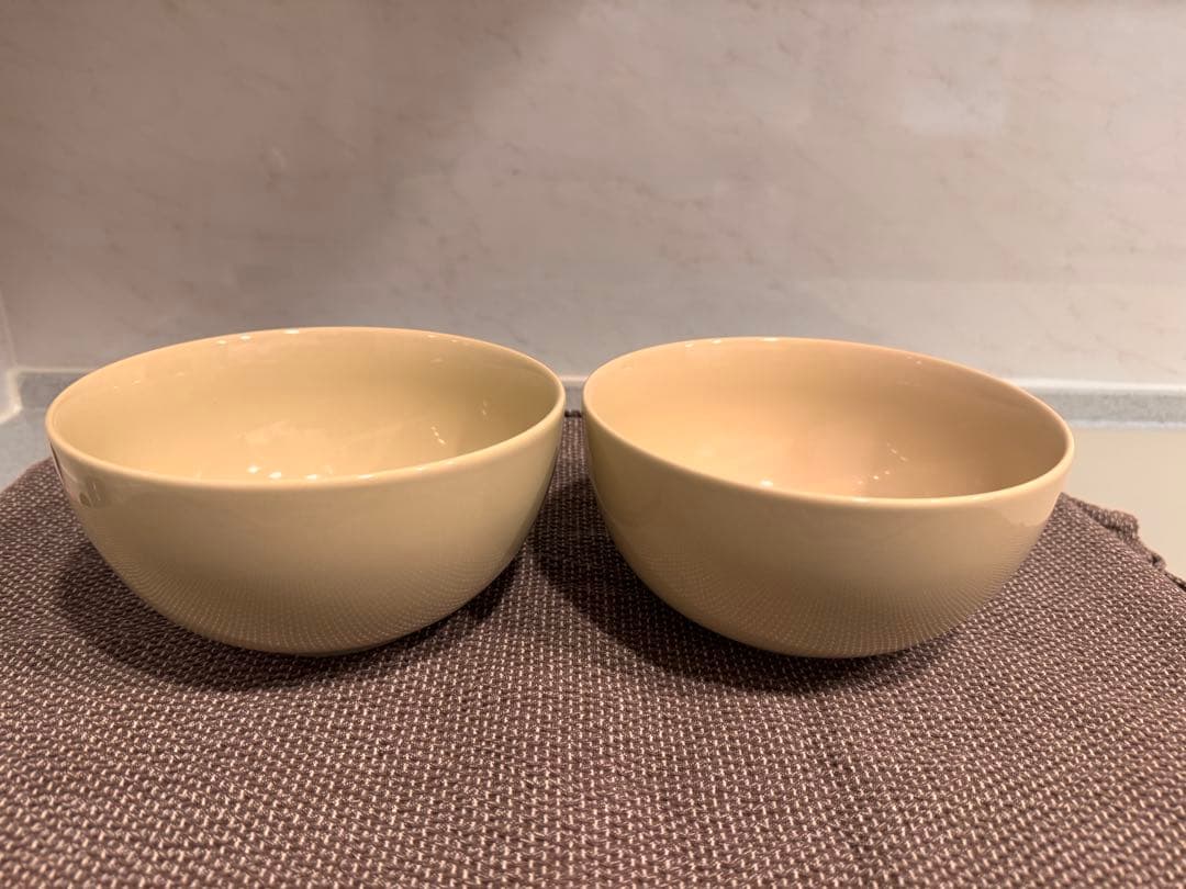 / Teemaボウル1.65L 2個セット