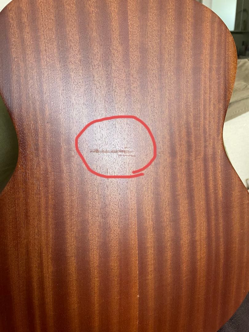 Taylor GS mini 専用ケース付き