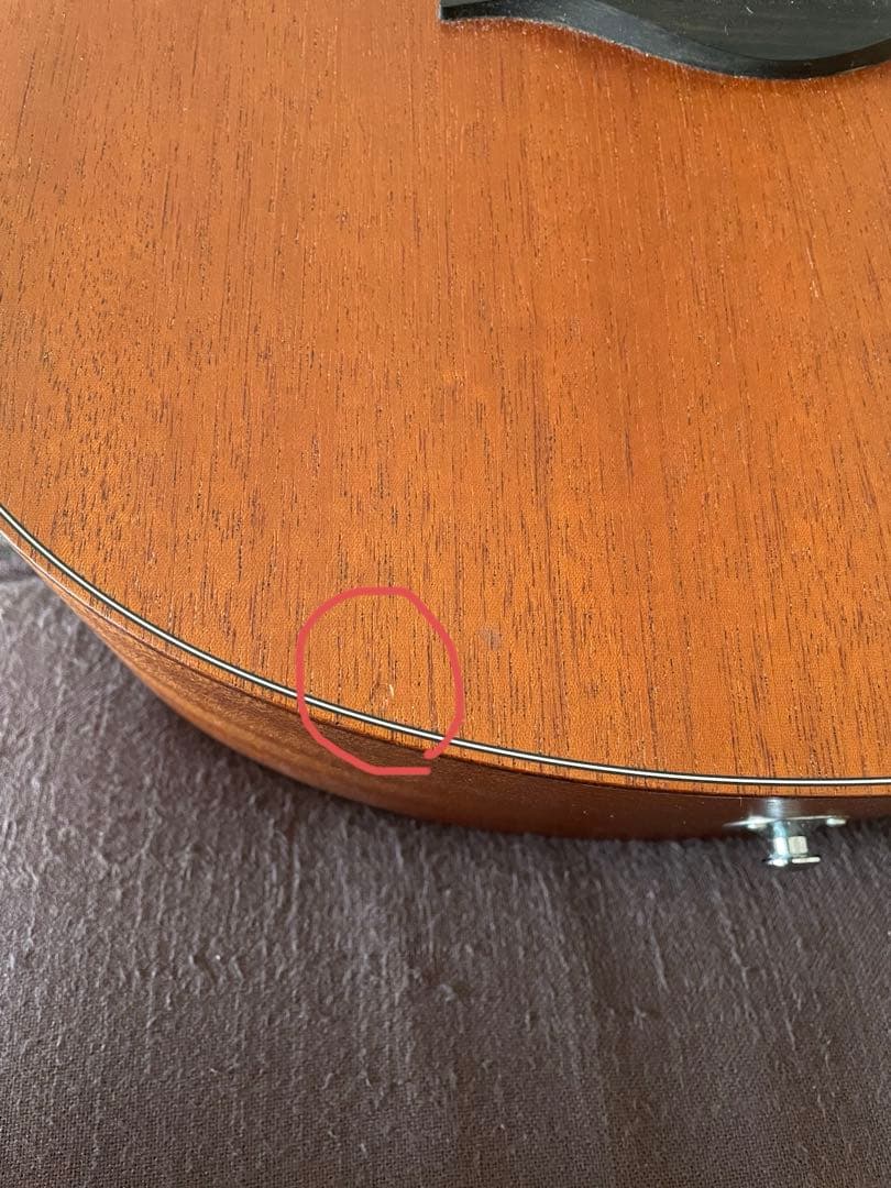 Taylor GS mini 専用ケース付き