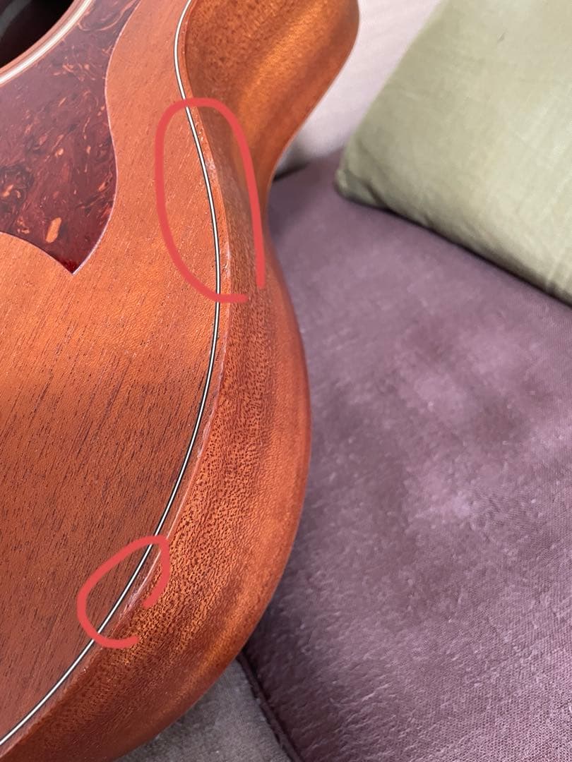 Taylor GS mini 専用ケース付き