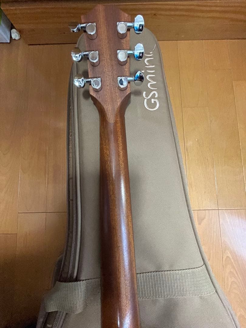 Taylor GS mini 専用ケース付き