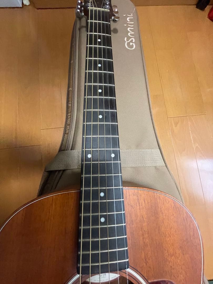 Taylor GS mini 専用ケース付き
