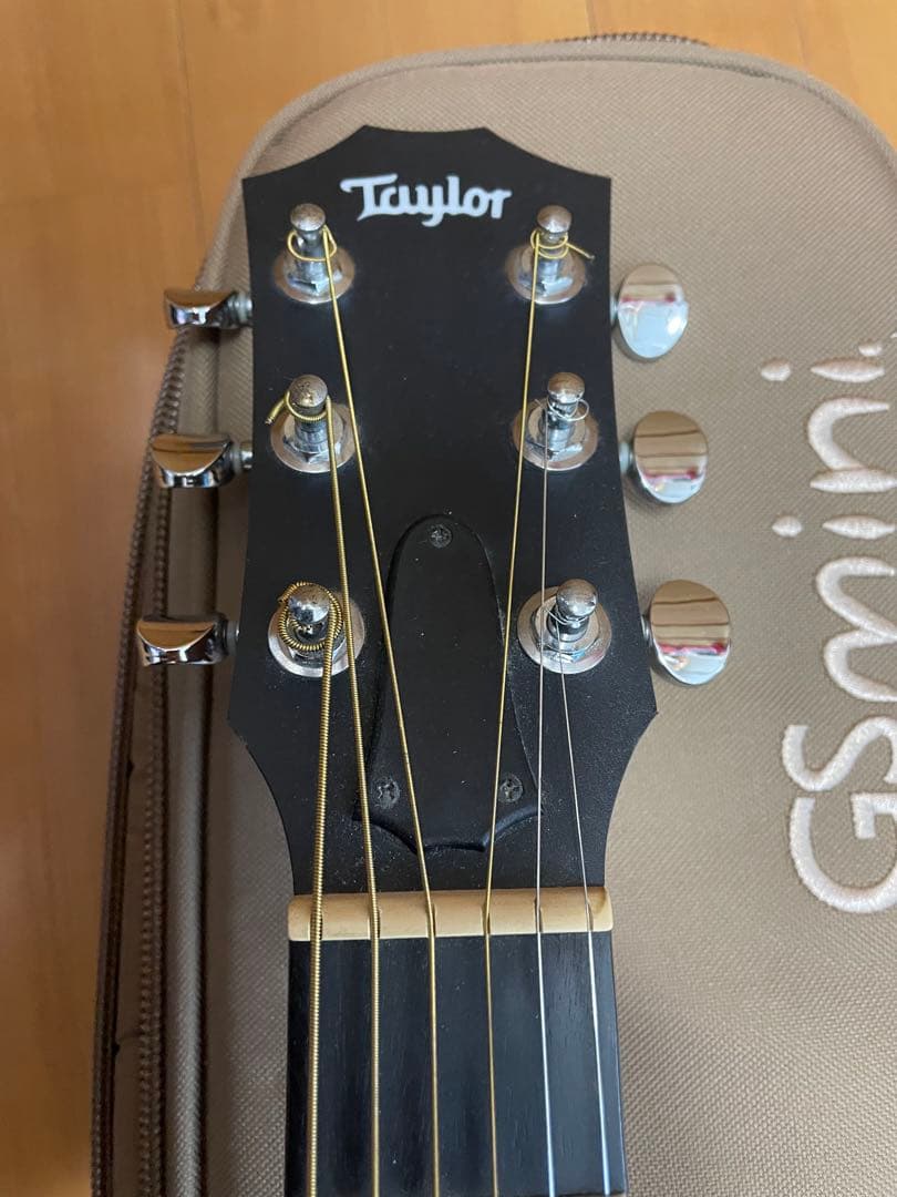 Taylor GS mini 専用ケース付き