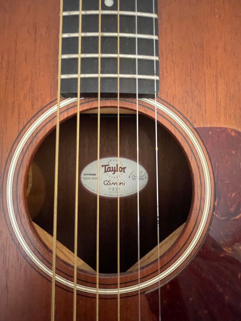 Taylor GS mini 専用ケース付き