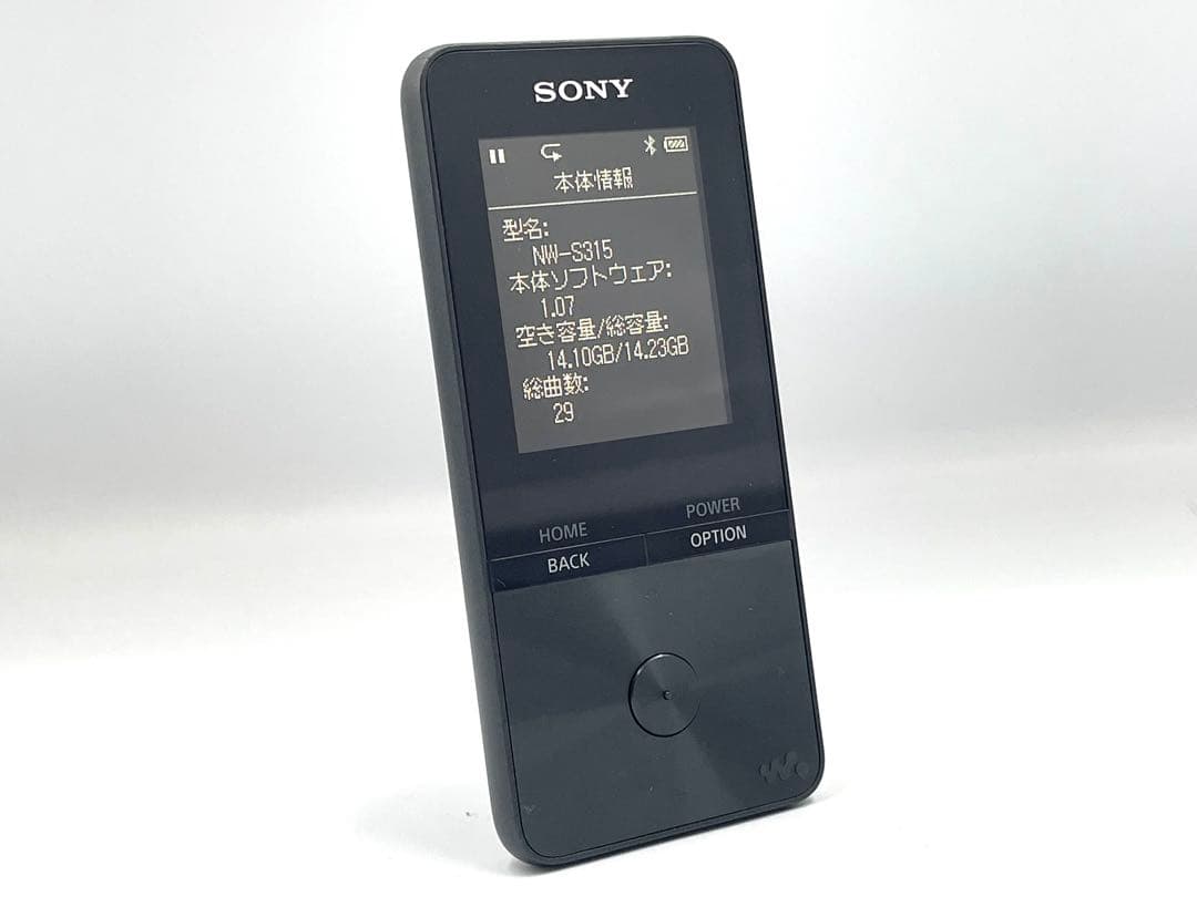 バッテリー良好　外観極美品　SONY WALKMAN NW-S315 16GB